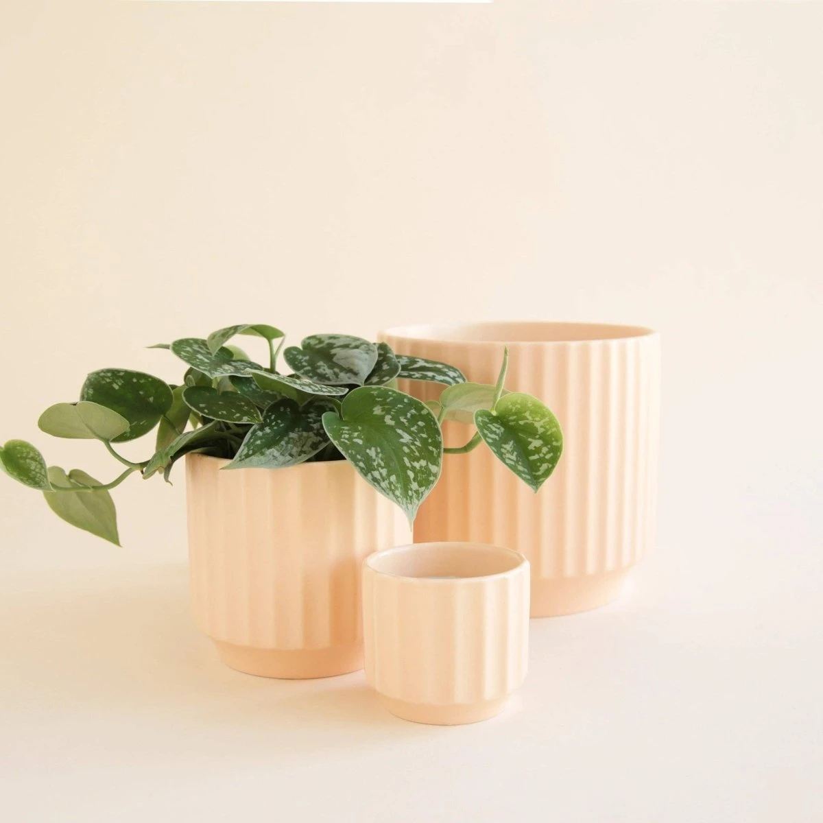 Monroe Planter | Vanilla 4 Monroe Planter | Vanilla - Image 2