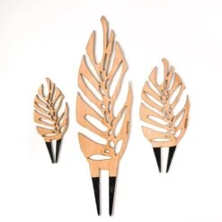 Monstrella - Monstera Plant Support & Trellis -Eds Plant Shop monstrella monstera plant support trellis 335890