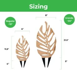 Monstrella - Monstera Plant Support & Trellis -Eds Plant Shop monstrella monstera plant support trellis 807133