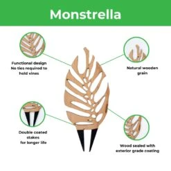 Monstrella - Monstera Plant Support & Trellis -Eds Plant Shop monstrella monstera plant support trellis 834491