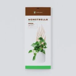 Monstrella - Monstera Plant Support & Trellis -Eds Plant Shop monstrella monstera plant support trellis 972454