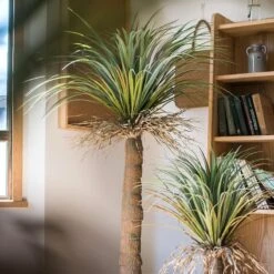 Moroccan Artificial Palm Tree In Pot | Handmade Silk Palm Tree For Indoor Decor 15 Moroccan Artificial Palm Tree In Pot | Handmade Silk Palm Tree For Indoor Decor -Eds Plant Shop moroccan artificial palm tree in pot 416883