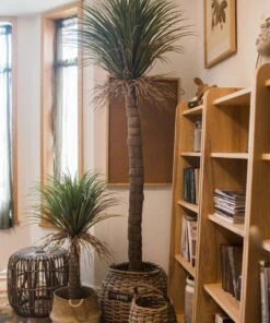 Moroccan Artificial Palm Tree In Pot | Handmade Silk Palm Tree For Indoor Decor 17 Moroccan Artificial Palm Tree In Pot | Handmade Silk Palm Tree For Indoor Decor -Eds Plant Shop moroccan artificial palm tree in pot 842938