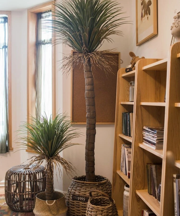Moroccan Artificial Palm Tree In Pot | Handmade Silk Palm Tree For Indoor Decor 7 Moroccan Artificial Palm Tree In Pot | Handmade Silk Palm Tree For Indoor Decor - Image 5