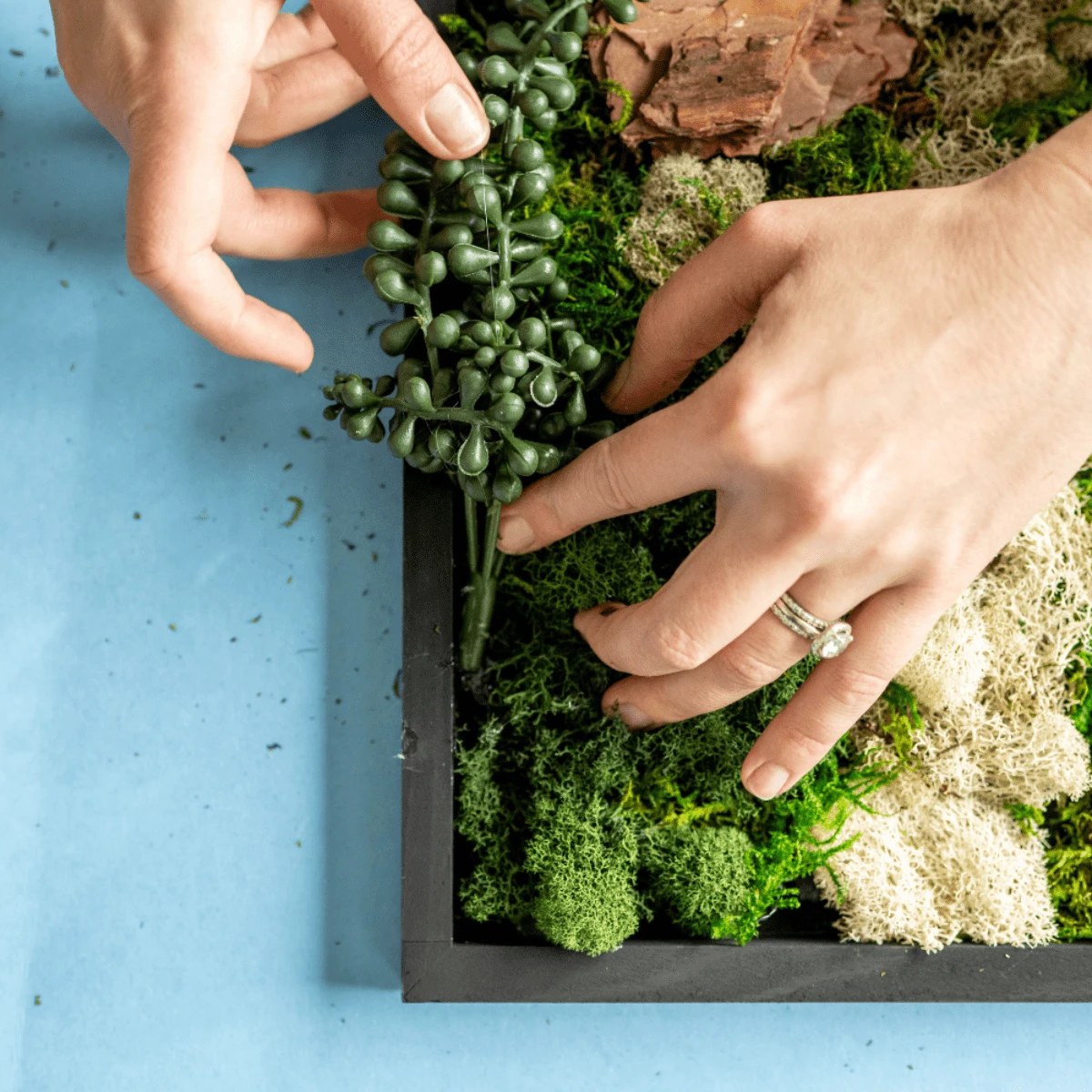 Moss Wall Kit 8 Moss Wall Kit - Image 6