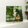 Moss Wall Kit -Eds Plant Shop moss wall kit 828029
