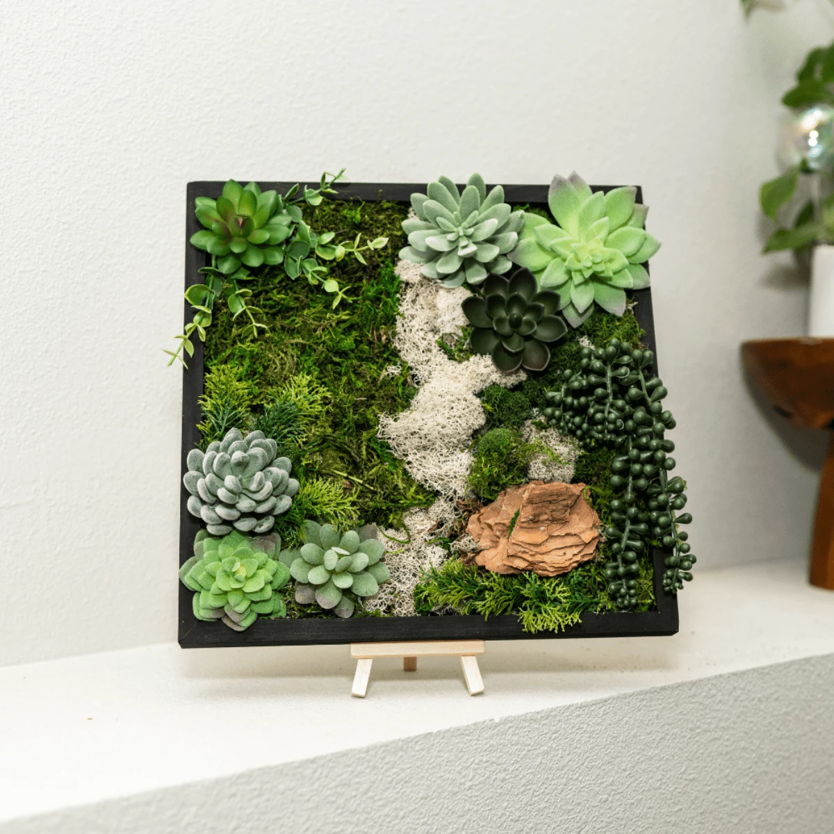 Moss Wall Kit 3 Moss Wall Kit
