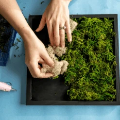 Moss Wall Kit 11 Moss Wall Kit -Eds Plant Shop moss wall kit 834087