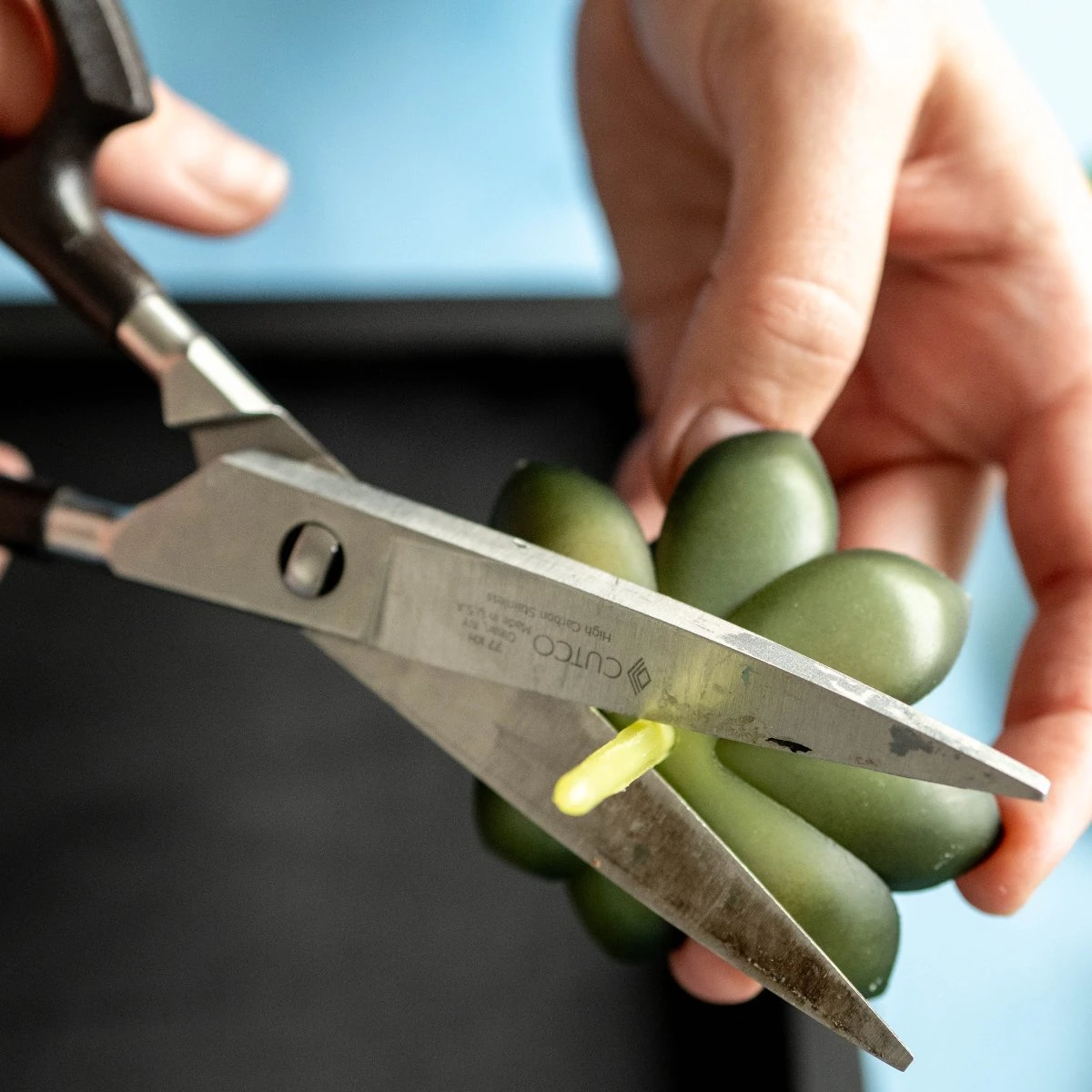 Moss Wall Kit 5 Moss Wall Kit - Image 3