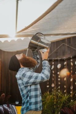 Nano Pitcher | Advanced Filtration Removes Bacteria & PFAS 33 Nano Pitcher | Advanced Filtration Removes Bacteria & PFAS -Eds Plant Shop nano pitcher advanced filtration removes bacteria pfas 881598