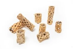 Natural Cholla Wood Container - 6 Inches Tall With Tillandsia Assorted Air Plants -Eds Plant Shop natural cholla wood container 6 inches tall with tillandsia assorted air plants 4718384