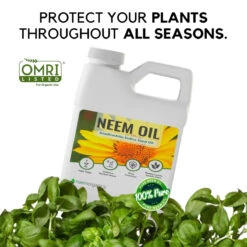 Neem Oil 16oz 7 Neem Oil 16oz -Eds Plant Shop neem oil 16oz 550898