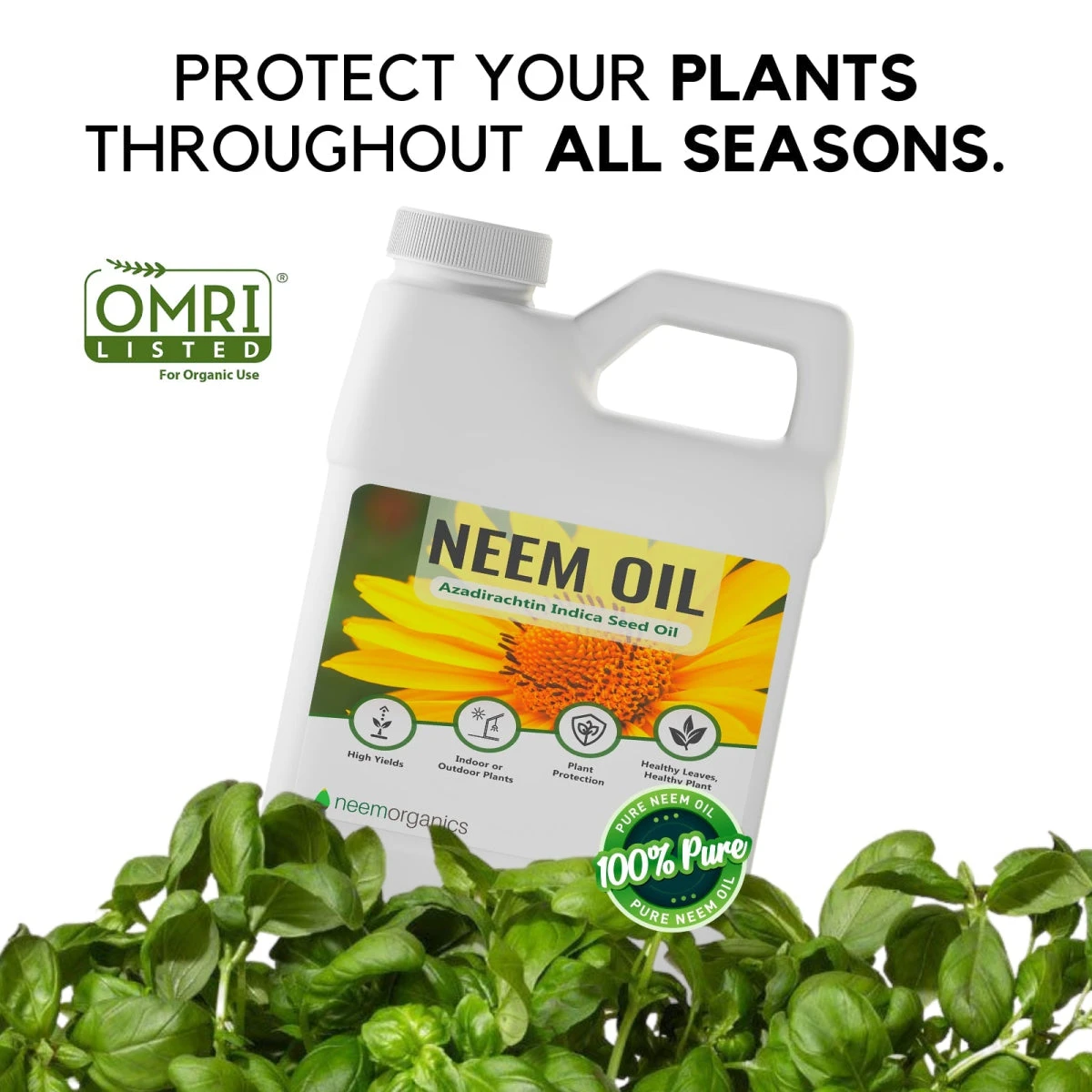 Neem Oil 16oz 5 Neem Oil 16oz - Image 3