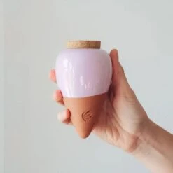 Olla Terracotta Self-Watering Pot | Efficient Plant Irrigation -Eds Plant Shop olla terracotta self watering pot efficient plant irrigation 169973