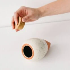 Olla Terracotta Self-Watering Pot | Efficient Plant Irrigation -Eds Plant Shop olla terracotta self watering pot efficient plant irrigation 307065