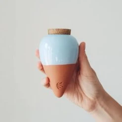 Olla Terracotta Self-Watering Pot | Efficient Plant Irrigation -Eds Plant Shop olla terracotta self watering pot efficient plant irrigation 739204