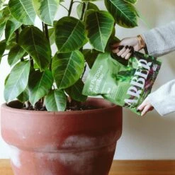 Organic All-Purpose Fertilizer – 3 Lbs | With Biochar For Lasting Results 13 Organic All-Purpose Fertilizer – 3 Lbs | With Biochar For Lasting Results -Eds Plant Shop organic all purpose fertilizer 560760