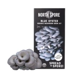 Organic Blue Oyster ‘Spray & Grow’ Mushroom Growing Kit -Eds Plant Shop organic blue oyster spray grow mushroom growing kit 150453