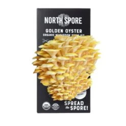 Organic Golden Oyster ‘Spray & Grow’ Mushroom Growing Kit
