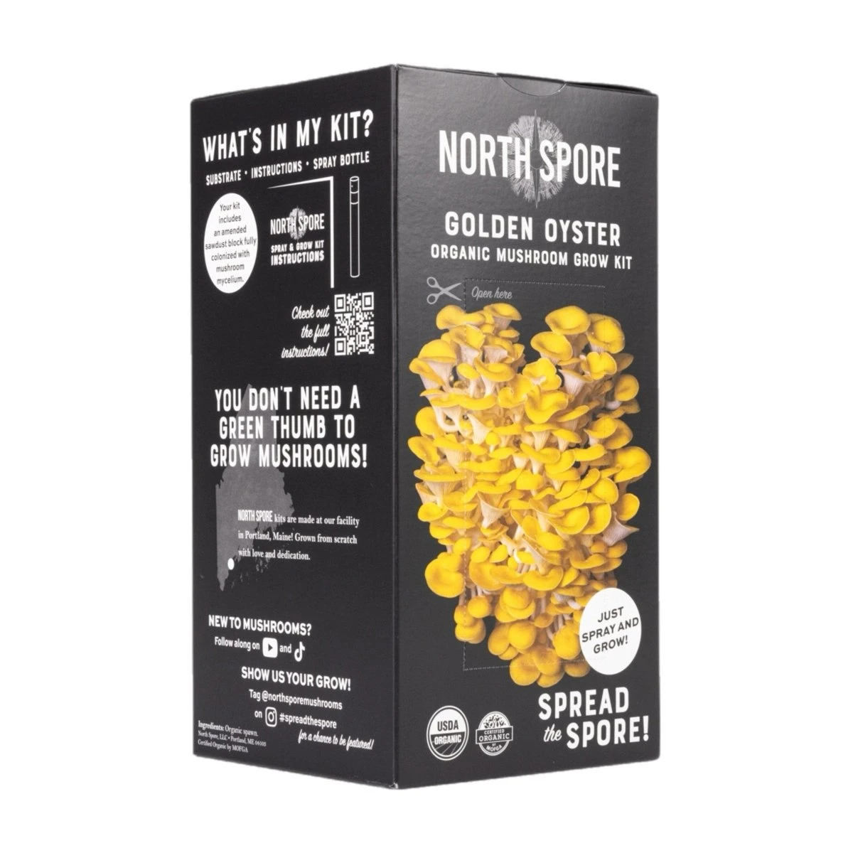 Organic Golden Oyster ‘Spray & Grow’ Mushroom Growing Kit 7 Organic Golden Oyster ‘Spray & Grow’ Mushroom Growing Kit - Image 5