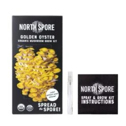 Organic Golden Oyster ‘Spray & Grow’ Mushroom Growing Kit 13 Organic Golden Oyster ‘Spray & Grow’ Mushroom Growing Kit -Eds Plant Shop organic golden oyster spray grow mushroom growing kit 560534