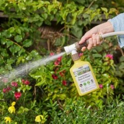 Organic Insecticide For Rose & Flower -Eds Plant Shop organic insecticide for rose flower 9984914