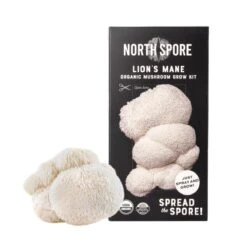 Organic Lion's Mane ‘Spray & Grow’ Mushroom Growing Kit -Eds Plant Shop organic lions mane spray grow mushroom growing kit 946045