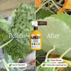 Organic Tomato & Vegetable Insecticide — Ready-to-Spray Concentrate -Eds Plant Shop organic tomato vegetable insecticide ready to spray concentrate 6061876