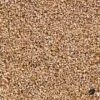 Organic Vermiculite: Lightweight Substrate For Houseplants -Eds Plant Shop organic vermiculite lightweight substrate for houseplants 956508