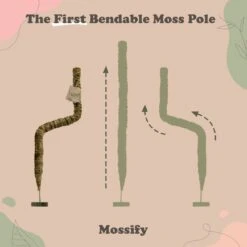 Original Bendable Moss Pole™ By Mossify (16"–54") | Flexible Plant Support -Eds Plant Shop original bendable moss pole by mossify 1654 flexible plant support 5637810