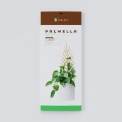 Palmella - Plant Support & Trellis -Eds Plant Shop palmella plant support trellis 990964