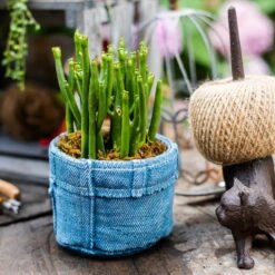 Pants For Plants – Blue Jeans Cement Planter With Drainage Hole -Eds Plant Shop pants for plants blue jeans cement planter with drainage hole 287731