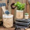 Paper Bag Style Concrete Garden Planter With Drainage – 3 Sizes 1 Paper Bag Style Concrete Garden Planter With Drainage – 3 Sizes -Eds Plant Shop paper bag style concrete garden planter with drainage 3 sizes 699877