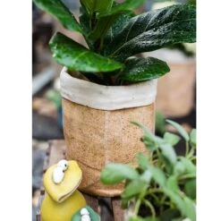 Paper Bag Style Concrete Garden Planter With Drainage – 3 Sizes -Eds Plant Shop paper bag style concrete garden planter with drainage 3 sizes 922746