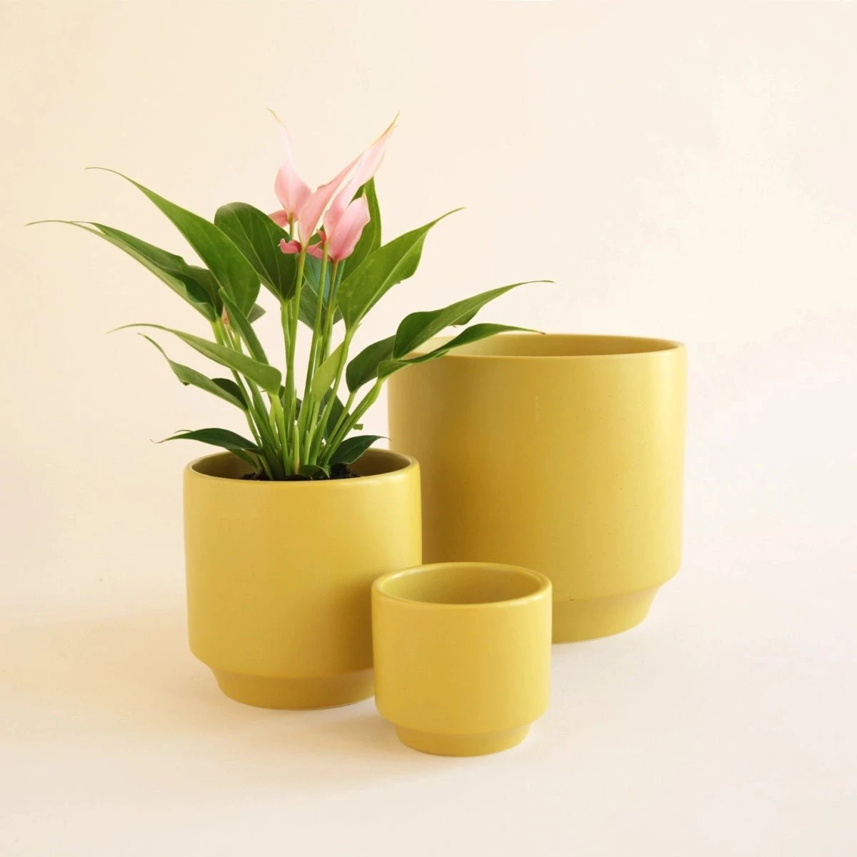 Parker Planter Pot | Palm Speckle 5 Parker Planter Pot | Palm Speckle - Image 3