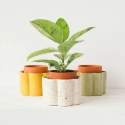 Paula Self Watering Planter Pot - Mustard Yellow -Eds Plant Shop paula self watering planter pot mustard yellow 445577