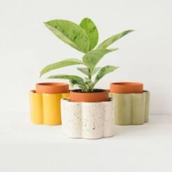 Paula Self Watering Planter Pot - Sage Green -Eds Plant Shop paula self watering planter pot sage green 137981
