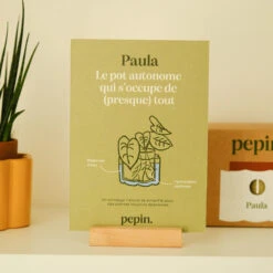 Paula Self-Watering Planter Pot – Speckled White 15 Paula Self-Watering Planter Pot – Speckled White -Eds Plant Shop paula self watering planter pot speckled white 7775822