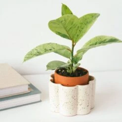 Paula Self-Watering Planter Pot – Speckled White