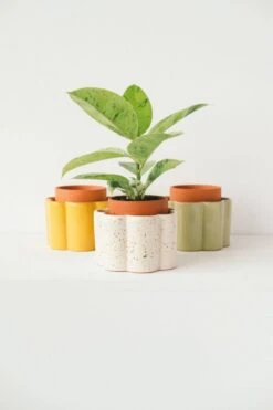 Paula Self-Watering Planter Pot – Speckled White 13 Paula Self-Watering Planter Pot – Speckled White -Eds Plant Shop paula self watering planter pot speckled white 9206761