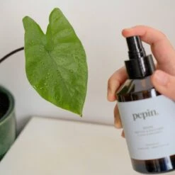 Pepin Cleaning Brume | Plant-Friendly Cleaning Mist With Probiotics -Eds Plant Shop pepin cleaning brume plant friendly cleaning mist with probiotics 231140