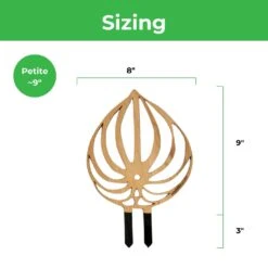 Peptrella - Peperomia Inspired Plant Trellis -Eds Plant Shop peptrella peperomia inspired plant trellis 477090