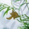 Plant Animal - Flying Squirrel -Eds Plant Shop plant animal flying squirrel 790405