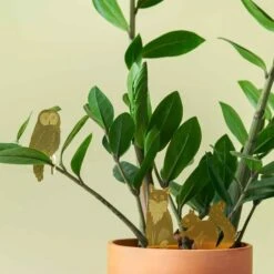 Plant Animal - Fox -Eds Plant Shop plant animal fox 496973