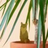 Plant Animal - Fox -Eds Plant Shop plant animal fox 635933