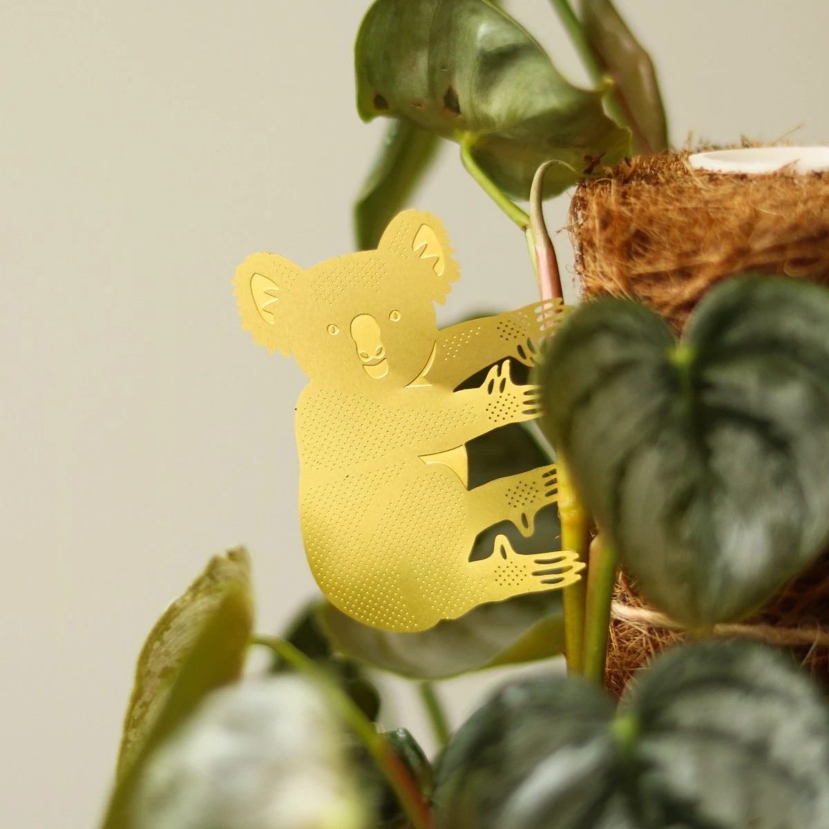 Plant Animal - Koala Bear 3 Plant Animal - Koala Bear