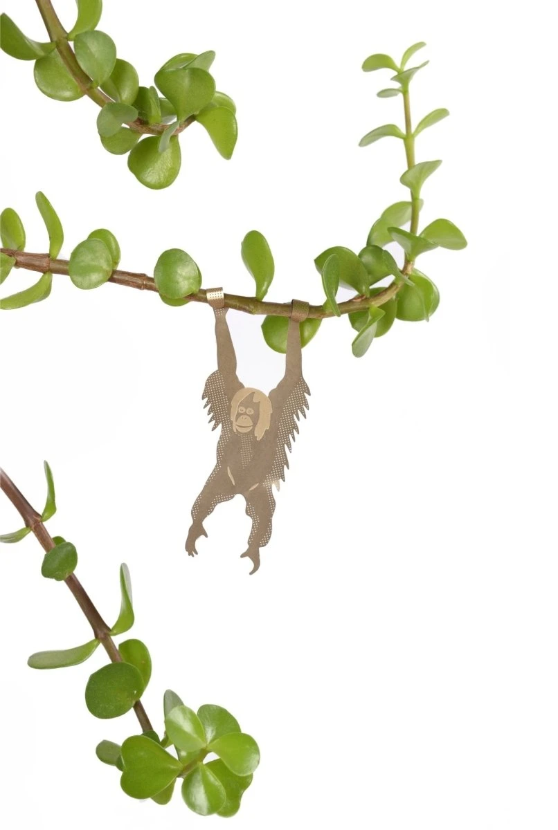 Plant Animal - Orangutan 4 Plant Animal - Orangutan - Image 2