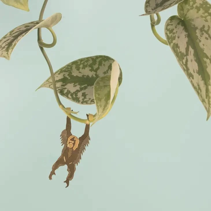 Plant Animal - Orangutan 3 Plant Animal - Orangutan