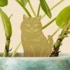 Plant Animal- Plant Decor- Cat