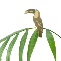Plant Animal - Toucan 7 Plant Animal - Toucan -Eds Plant Shop plant animal toucan 266978
